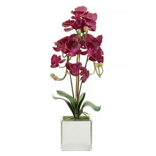 Artificial Aubergine Orchid Plant By Fiori For Home Decor-Wothorpe Nurseries