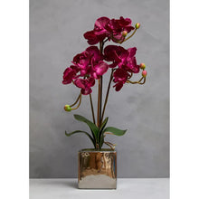 Artificial Aubergine Orchid Plant By Fiori For Home Decor-Wothorpe Nurseries