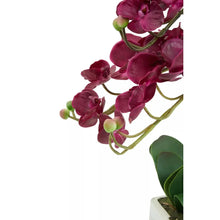 Artificial Aubergine Orchid Plant By Fiori For Home Decor-Wothorpe Nurseries