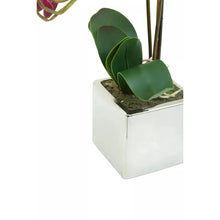 Artificial Aubergine Orchid Plant By Fiori For Home Decor-Wothorpe Nurseries