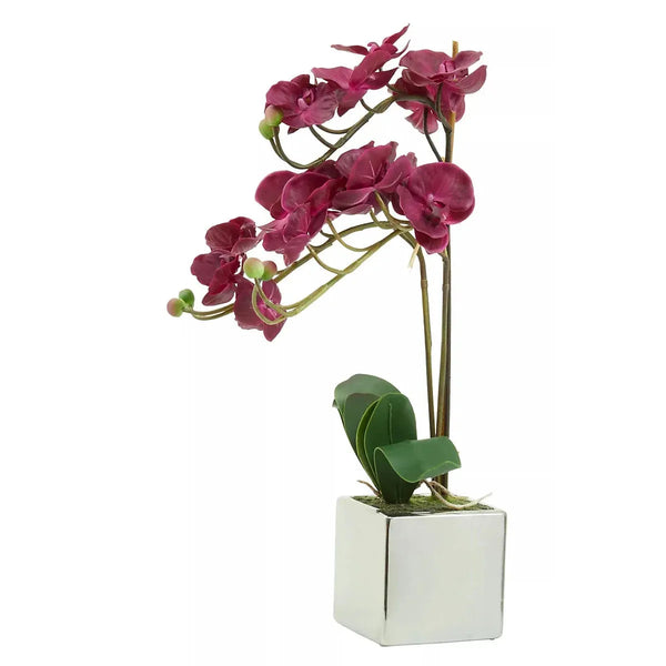 Artificial Aubergine Orchid Plant By Fiori For Home Decor-Wothorpe Nurseries