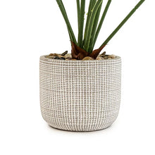 Artificial Cheese Plant 50cm No Maintenance Grey Pot Home-Wothorpe Nurseries