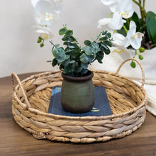 Artificial Chinese Money Plant Desk Friendly 18cm Green Pot-Wothorpe Nurseries