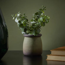 Artificial Chinese Money Plant Desk Friendly 18cm Green Pot-Wothorpe Nurseries