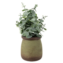 Artificial Chinese Money Plant Desk Friendly 18cm Green Pot-Wothorpe Nurseries
