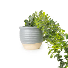 Artificial Eucalyptus Plant 50cm In Ceramic Pot Home Office-Wothorpe Nurseries