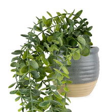 Artificial Eucalyptus Plant 50cm In Ceramic Pot Home Office-Wothorpe Nurseries