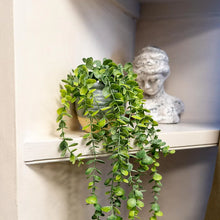 Artificial Eucalyptus Plant 50cm In Ceramic Pot Home Office-Wothorpe Nurseries