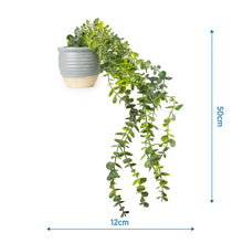 Artificial Eucalyptus Plant 50cm In Ceramic Pot Home Office-Wothorpe Nurseries