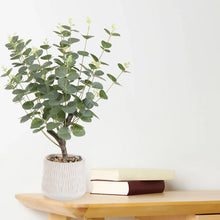 Artificial Eucalyptus Plant 62cm Ceramic Pot Home Decor-Wothorpe Nurseries