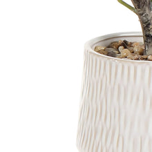 Artificial Eucalyptus Plant 62cm Ceramic Pot Home Decor-Wothorpe Nurseries