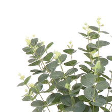 Artificial Eucalyptus Plant 62cm Ceramic Pot Home Decor-Wothorpe Nurseries