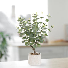 Artificial Eucalyptus Plant 62cm Ceramic Pot Home Decor-Wothorpe Nurseries