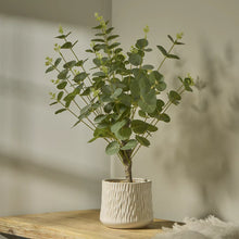 Artificial Eucalyptus Plant 62cm Ceramic Pot Home Decor-Wothorpe Nurseries