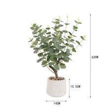 Artificial Eucalyptus Plant 62cm Ceramic Pot Home Decor-Wothorpe Nurseries