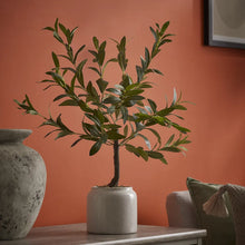 Artificial Olive Plant Lifelike In Cream Ceramic Pot 58cm-Wothorpe Nurseries