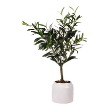 Artificial Olive Plant Lifelike In Cream Ceramic Pot 58cm-Wothorpe Nurseries