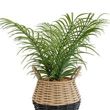 Artificial Palm Plant Wicker Basket Lifelike Green For Homes-Wothorpe Nurseries