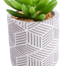 Artificial Succulent 12cm Grey Ceramic Pot Low Maintenance-Wothorpe Nurseries