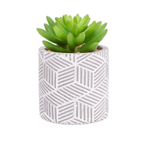 Artificial Succulent 12cm Grey Ceramic Pot Low Maintenance-Wothorpe Nurseries