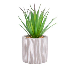 Artificial Succulent Plant Grey Ceramic Pot No Watering Desk-Wothorpe Nurseries