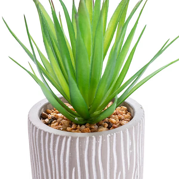 Artificial Succulent Plant Grey Ceramic Pot No Watering Desk-Wothorpe Nurseries