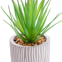 Artificial Succulent Plant Grey Ceramic Pot No Watering Desk-Wothorpe Nurseries