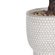 Olivia Artificial Olive Plant 53cm Grey Cement Pot Home Decor-Wothorpe Nurseries