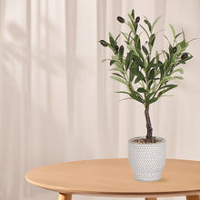 Olivia Artificial Olive Plant 53cm Grey Cement Pot Home Decor-Wothorpe Nurseries
