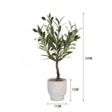 Olivia Artificial Olive Plant 53cm Grey Cement Pot Home Decor-Wothorpe Nurseries