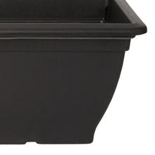 Verve Florus Bell Trough Planter Garden Durable Plastic-Wothorpe Nurseries
