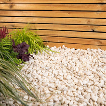 White 15-20mm Marble Pebbles For Landscape Gardens Durable-Wothorpe Nurseries