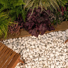 White Marble Pebbles 20 To 40mm Polished For Gardeners-Wothorpe Nurseries