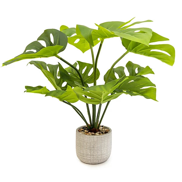 Artificial Cheese Plant 50cm No Maintenance Grey Pot Home-Wothorpe Nurseries