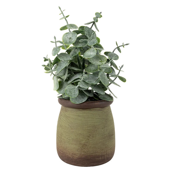 Artificial Chinese Money Plant Desk Friendly 18cm Green Pot-Wothorpe Nurseries