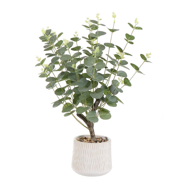Artificial Eucalyptus Plant 62cm Ceramic Pot Home Decor-Wothorpe Nurseries