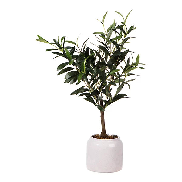 Artificial Olive Plant Lifelike In Cream Ceramic Pot 58cm-Wothorpe Nurseries