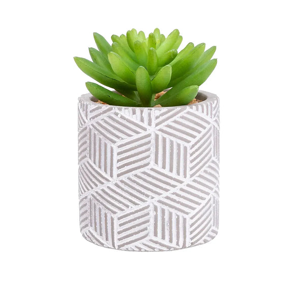 Artificial Succulent 12cm Grey Ceramic Pot Low Maintenance-Wothorpe Nurseries