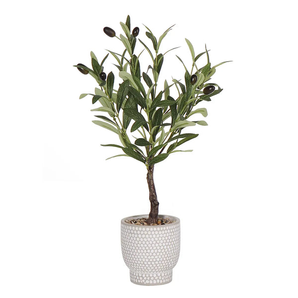 Olivia Artificial Olive Plant 53cm Grey Cement Pot Home Decor-Wothorpe Nurseries