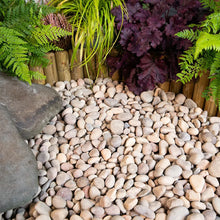 Scottish Brown Pebbles 20-40mm Durable Garden Ground Cover-Wothorpe Nurseries